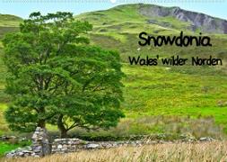 Snowdonia - Wales' wilder Norden (Wandkalender 2023 DIN A2 quer)