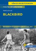 Blackbird von Matthias Brandt - Textanalyse und Interpretation