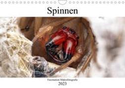 Faszination Makrofotografie: Spinnen (Wandkalender 2023 DIN A4 quer)