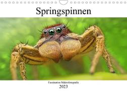 Faszination Makrofotografie: Springspinnen (Wandkalender 2023 DIN A4 quer)