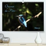 Oiseaux du Pâtis (Premium, hochwertiger DIN A2 Wandkalender 2023, Kunstdruck in Hochglanz)