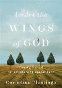 Under the Wings of God - Twenty Biblical Reflections for a Deeper Faith