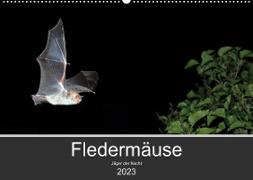 Fledermäuse - Jäger der Nacht (Wandkalender 2023 DIN A2 quer)