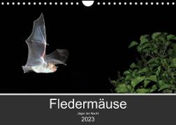 Fledermäuse - Jäger der Nacht (Wandkalender 2023 DIN A4 quer)