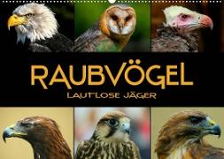Raubvögel - lautlose Jäger (Wandkalender 2023 DIN A2 quer)