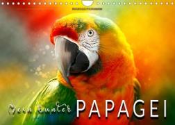 Mein bunter Papagei (Wandkalender 2023 DIN A4 quer)