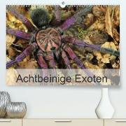 Achtbeinige Exoten (Premium, hochwertiger DIN A2 Wandkalender 2023, Kunstdruck in Hochglanz)