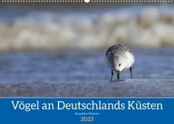 Vögel an Deutschlands Küsten (Wandkalender 2023 DIN A2 quer)