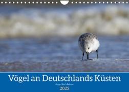 Vögel an Deutschlands Küsten (Wandkalender 2023 DIN A4 quer)