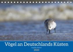 Vögel an Deutschlands Küsten (Tischkalender 2023 DIN A5 quer)