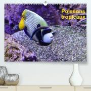 Poissons tropicaux (Premium, hochwertiger DIN A2 Wandkalender 2023, Kunstdruck in Hochglanz)