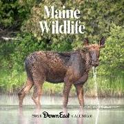 2023 Maine Wildlife Wall Calendar