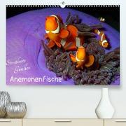Anemonenfische - Streitbare Gesellen (Premium, hochwertiger DIN A2 Wandkalender 2023, Kunstdruck in Hochglanz)