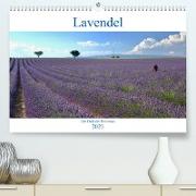 Lavendel. Der Duft der Provence (Premium, hochwertiger DIN A2 Wandkalender 2023, Kunstdruck in Hochglanz)