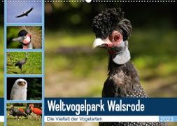Weltvogelpark Walsrode - Die Vielfalt der Vogelarten (Wandkalender 2023 DIN A2 quer)