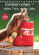 Eichhörnchen - kleine Tiere, große Liebe (Tischkalender 2023 DIN A5 hoch)