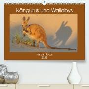 Kängururs und Wallabys (Premium, hochwertiger DIN A2 Wandkalender 2023, Kunstdruck in Hochglanz)