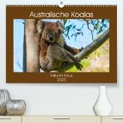 Australische Koalas (Premium, hochwertiger DIN A2 Wandkalender 2023, Kunstdruck in Hochglanz)