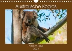 Australische Koalas (Wandkalender 2023 DIN A4 quer)