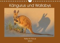 Kängururs und Wallabys (Wandkalender 2023 DIN A4 quer)
