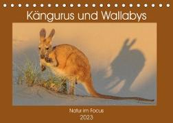 Kängururs und Wallabys (Tischkalender 2023 DIN A5 quer)