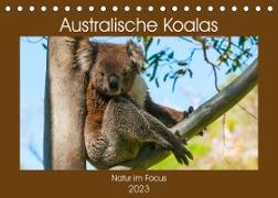 Australische Koalas (Tischkalender 2023 DIN A5 quer)