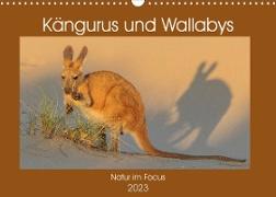 Kängururs und Wallabys (Wandkalender 2023 DIN A3 quer)