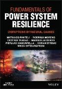 Fundamentals of Power System Resilience: Disruptio ns by Natural Causes