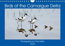 Birds of the Camargue Delta (Wall Calendar 2023 DIN A4 Landscape)