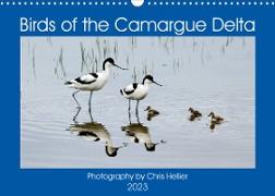 Birds of the Camargue Delta (Wall Calendar 2023 DIN A3 Landscape)