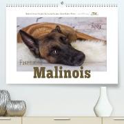Faszination Malinois (Premium, hochwertiger DIN A2 Wandkalender 2023, Kunstdruck in Hochglanz)
