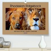 Rhodesian Ridgeback der Hund mit dem Tropfen Löwenblut (Premium, hochwertiger DIN A2 Wandkalender 2023, Kunstdruck in Hochglanz)