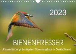 Bienenfresser, unsere farbenprächtigsten Sommergäste in Deutschland (Wandkalender 2023 DIN A4 quer)