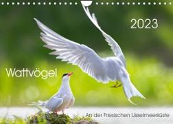 Wattvögel an der Friesischen IJsselmeerküste (Wandkalender 2023 DIN A4 quer)