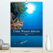 Unter Wasser daheim (Premium, hochwertiger DIN A2 Wandkalender 2023, Kunstdruck in Hochglanz)