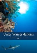 Unter Wasser daheim (Wandkalender 2023 DIN A3 hoch)