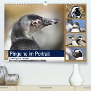 Pinguine im Portrait - Frackträger in Südafrika (Premium, hochwertiger DIN A2 Wandkalender 2023, Kunstdruck in Hochglanz)