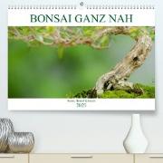 Bonsai ganz nah (Premium, hochwertiger DIN A2 Wandkalender 2023, Kunstdruck in Hochglanz)