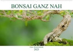 Bonsai ganz nah (Wandkalender 2023 DIN A2 quer)