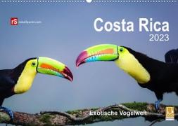 Costa Rica 2023 Exotische Vogelwelt (Wandkalender 2023 DIN A2 quer)