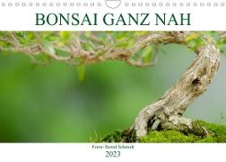 Bonsai ganz nah (Wandkalender 2023 DIN A4 quer)