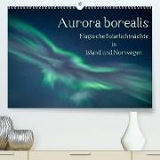 Aurora borealis - Magische Polarlichtnächte in Island und Norwegen (Premium, hochwertiger DIN A2 Wandkalender 2023, Kunstdruck in Hochglanz)