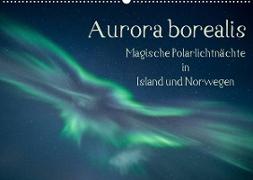 Aurora borealis - Magische Polarlichtnächte in Island und Norwegen (Wandkalender 2023 DIN A2 quer)
