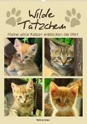 Wilde Tätzchen, kleine wilde Katzen entdecken die Welt (Wandkalender 2023 DIN A2 hoch)