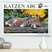 Katzen ABC (Premium, hochwertiger DIN A2 Wandkalender 2023, Kunstdruck in Hochglanz)