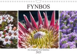 Fynbos - Die einzigartige Flora Südafrikas (Wandkalender 2023 DIN A4 quer)