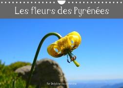 Les fleurs des Pyrénées (Calendrier mural 2023 DIN A4 horizontal)