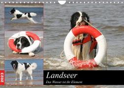 Landseer - Das Wasser ist ihr Element (Wandkalender 2023 DIN A4 quer)