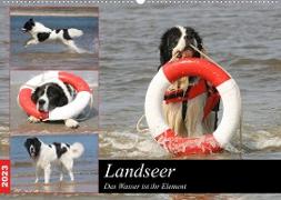 Landseer - Das Wasser ist ihr Element (Wandkalender 2023 DIN A2 quer)