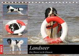 Landseer - Das Wasser ist ihr Element (Tischkalender 2023 DIN A5 quer)